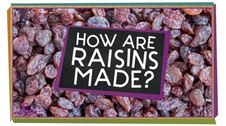 How many raisins can you eat in a day?