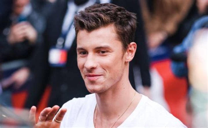 how many tattoos does shawn mendes have