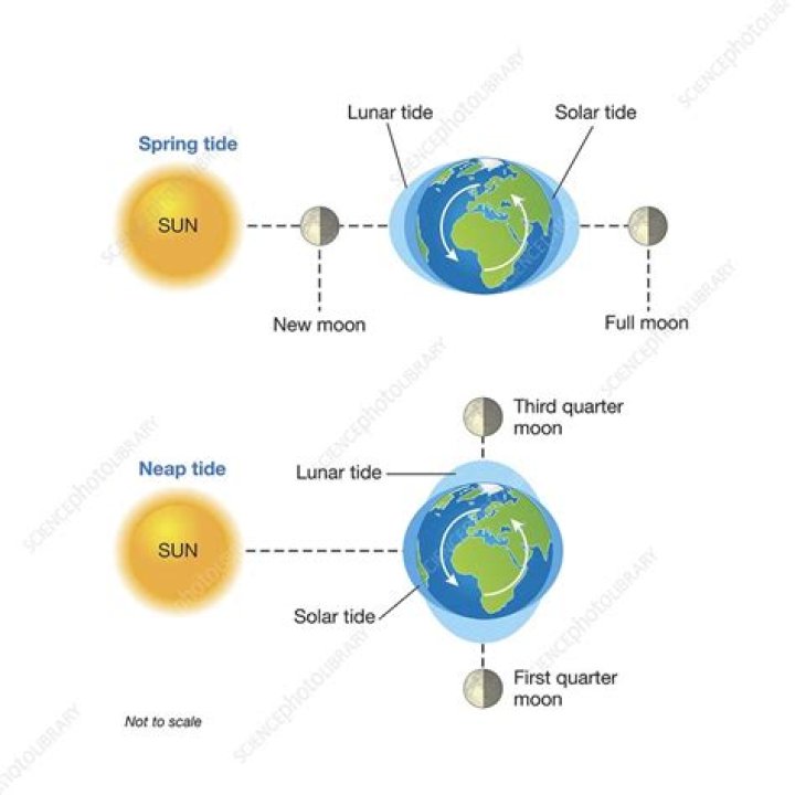 how many types of tides are there