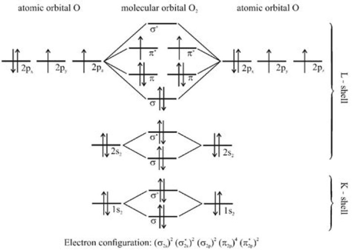 How many unpaired electrons are there in a CO 2 ion?