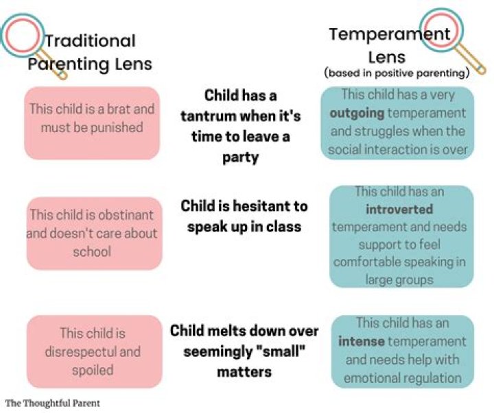 How might a temperament mix between parent and child affect family life
