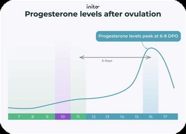 how much b6 for progesterone