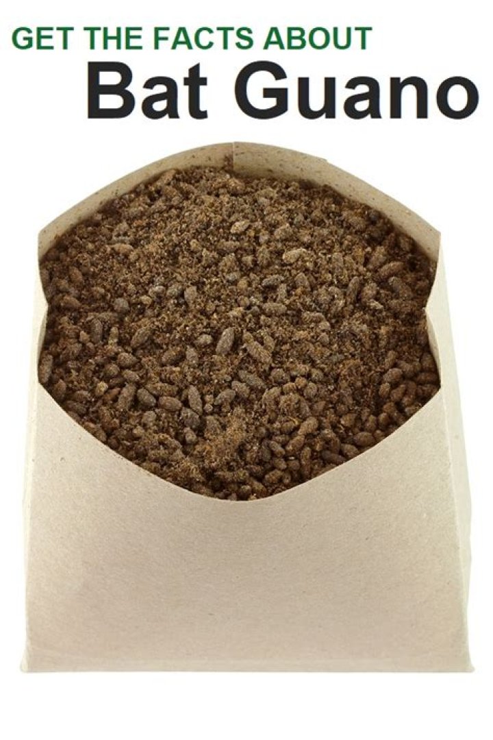 how much bat guano per gallon of soil