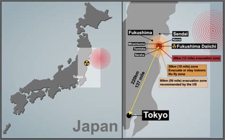 How much did the Fukushima tsunami cost?