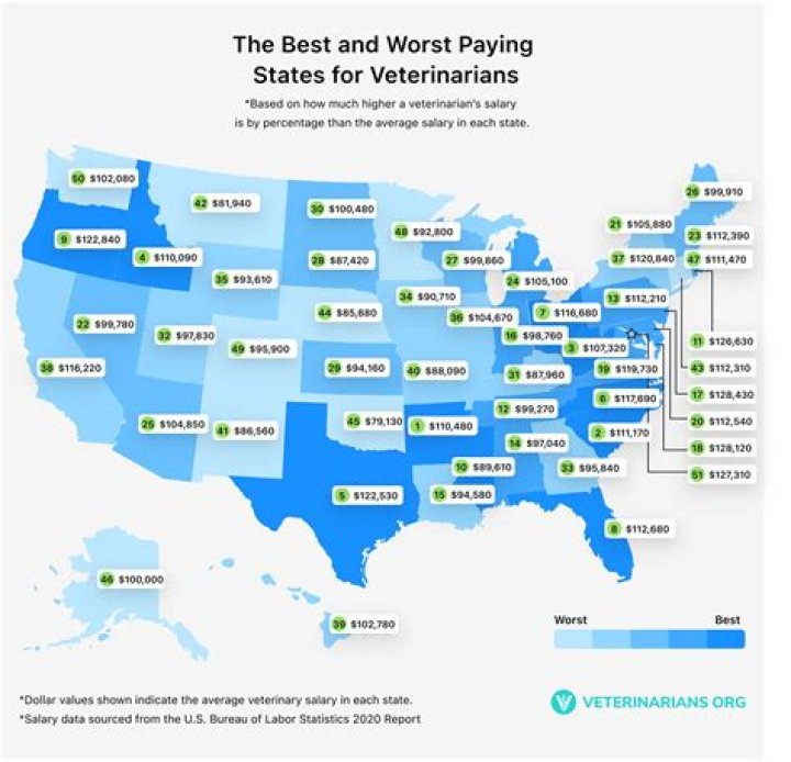 how much does a vet make