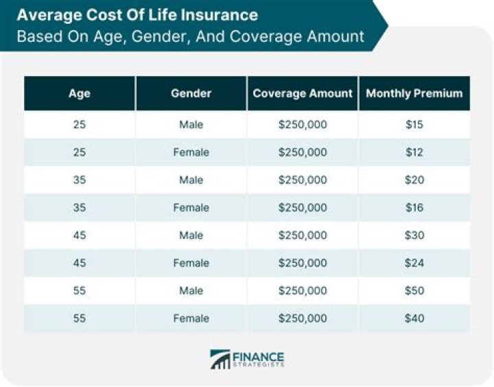 How much does D and O insurance cost?