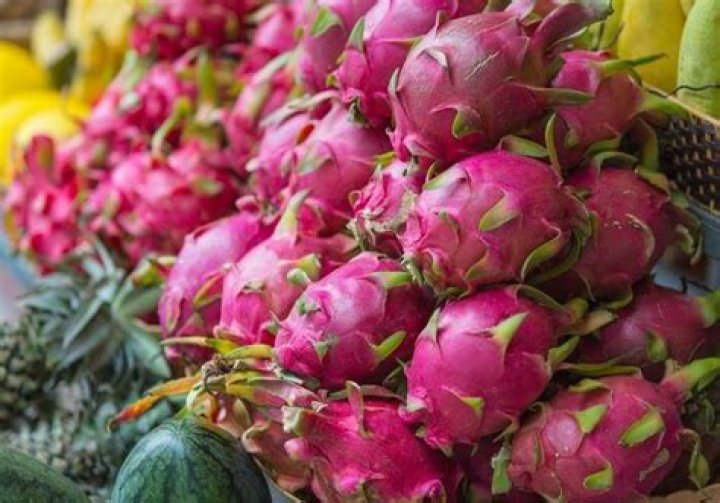 how much does dragon fruit cost
