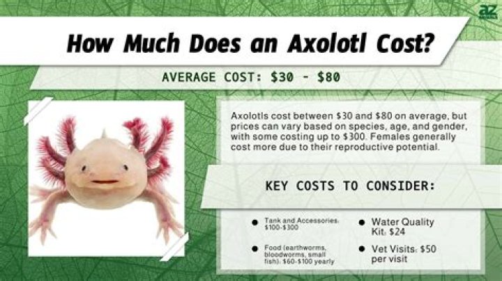 how much does it cost to get rid of radon