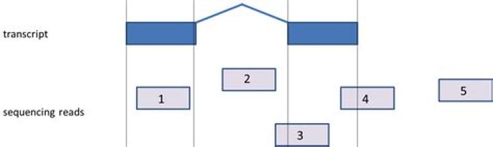 How much does Partek Flow Cost?