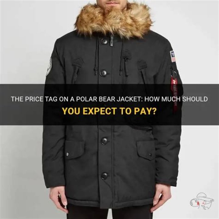 How much does Polar team cost?