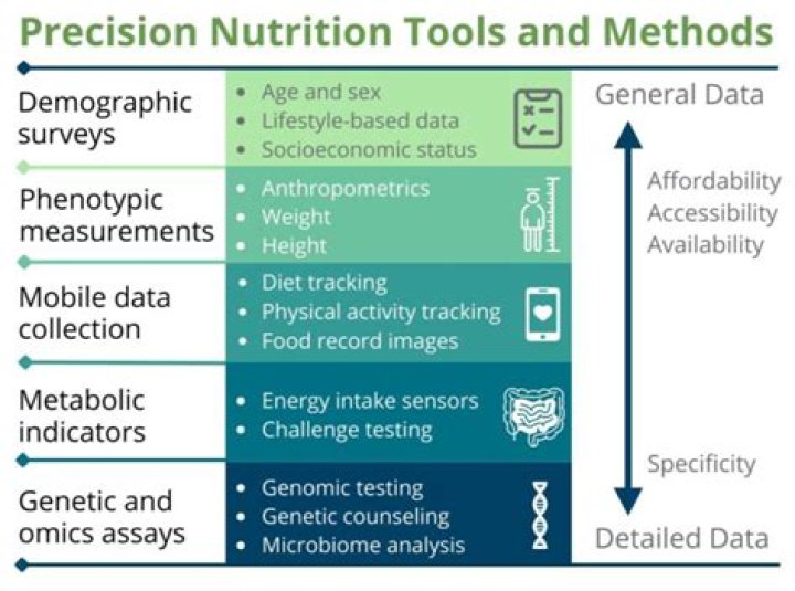 How much does Precision Nutrition cost