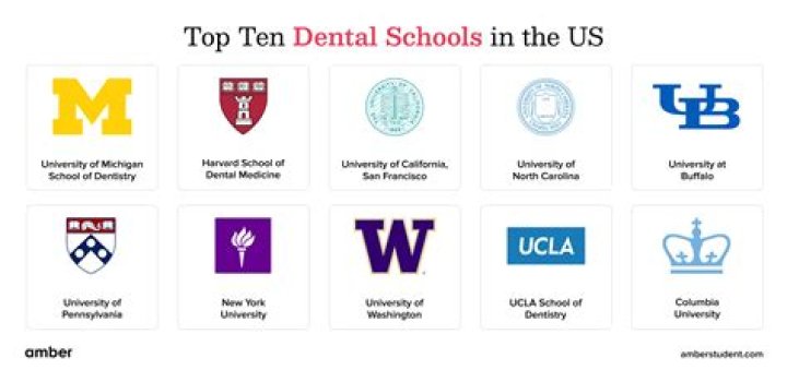 How much is dental school at UF
