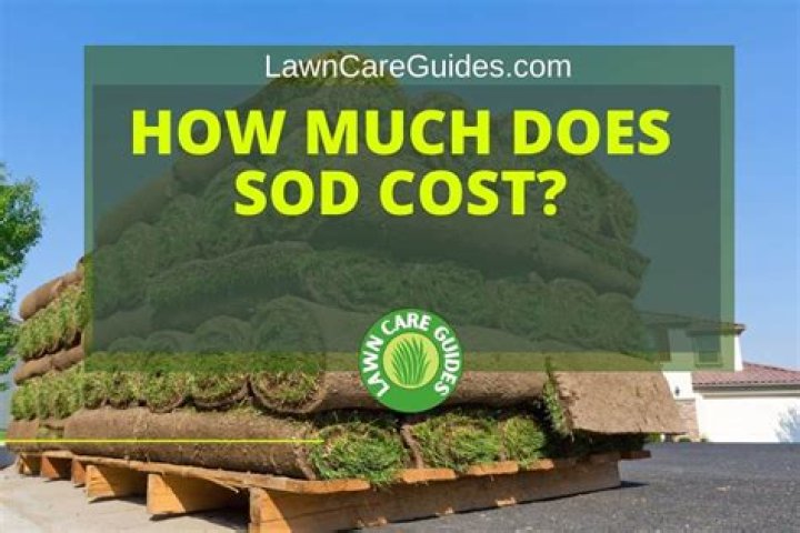how much is sod