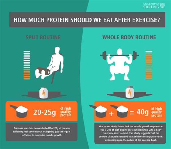 How much protein can your body process at a time