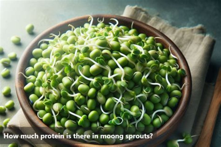 How much protein is in moong dal sprouts