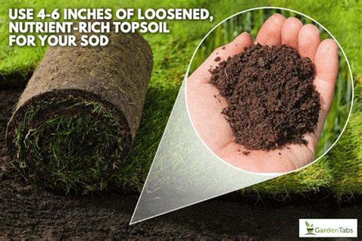 how much topsoil do i need for sod