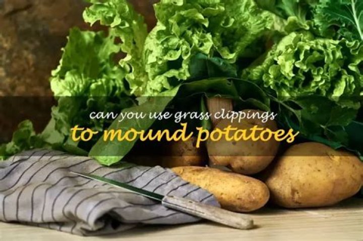 How often do you Mound potatoes