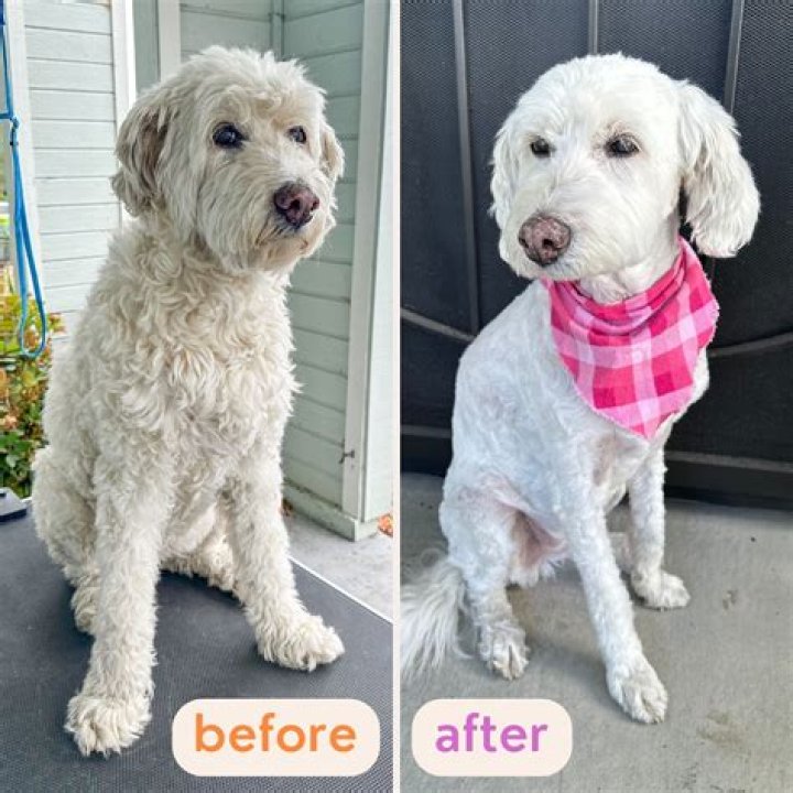 How often should a home be renovated