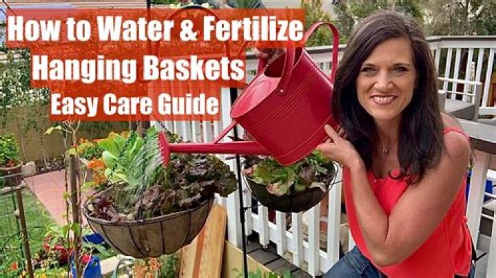 How often should I fertilize hanging baskets