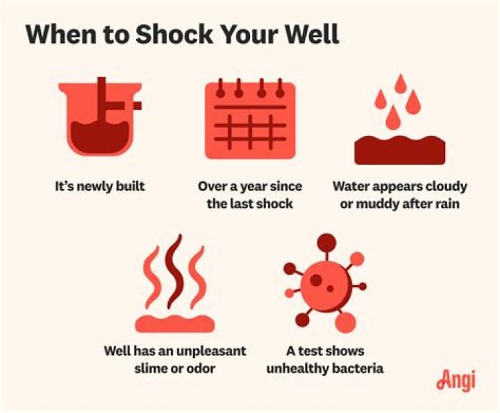 how often should you shock your well