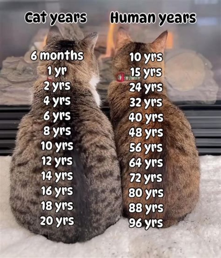 How old is Gackpoid?