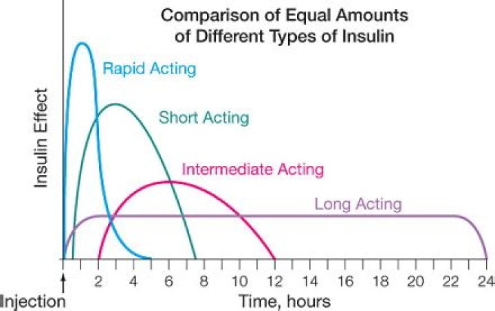 How quickly does Lantus work?