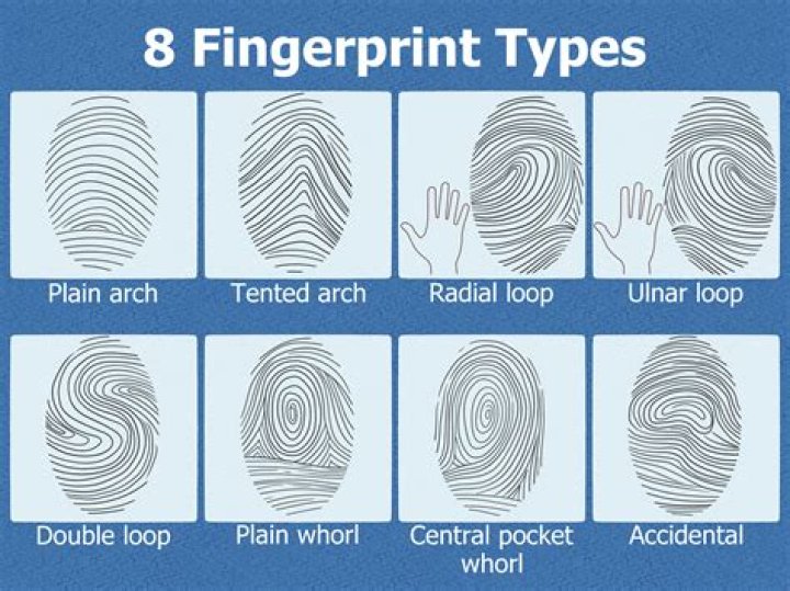 How rare is a loop fingerprint?