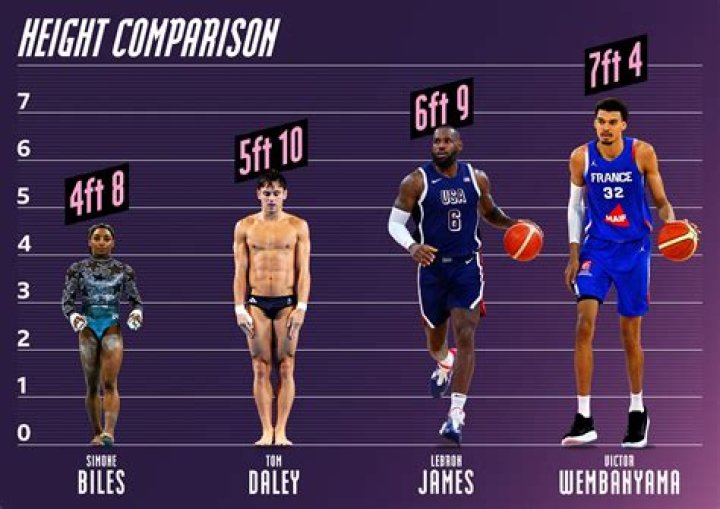 How tall is mezco 12?