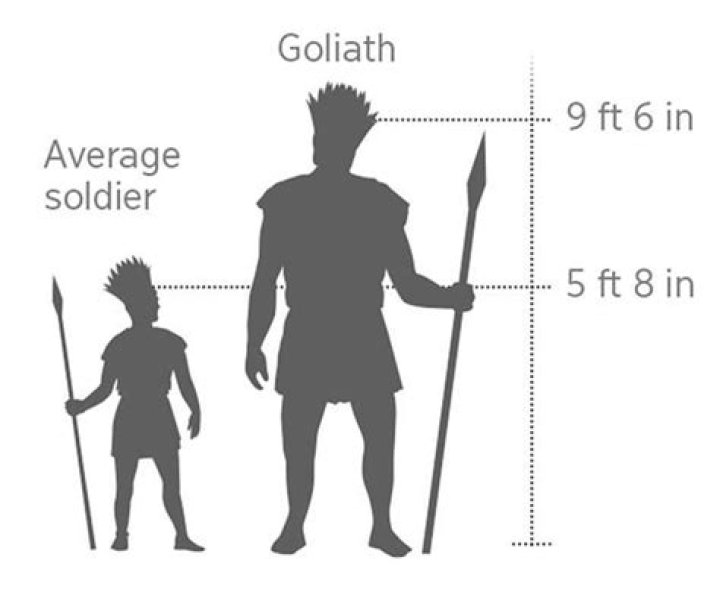 how tall was goliath
