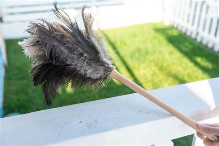 how to clean a feather duster