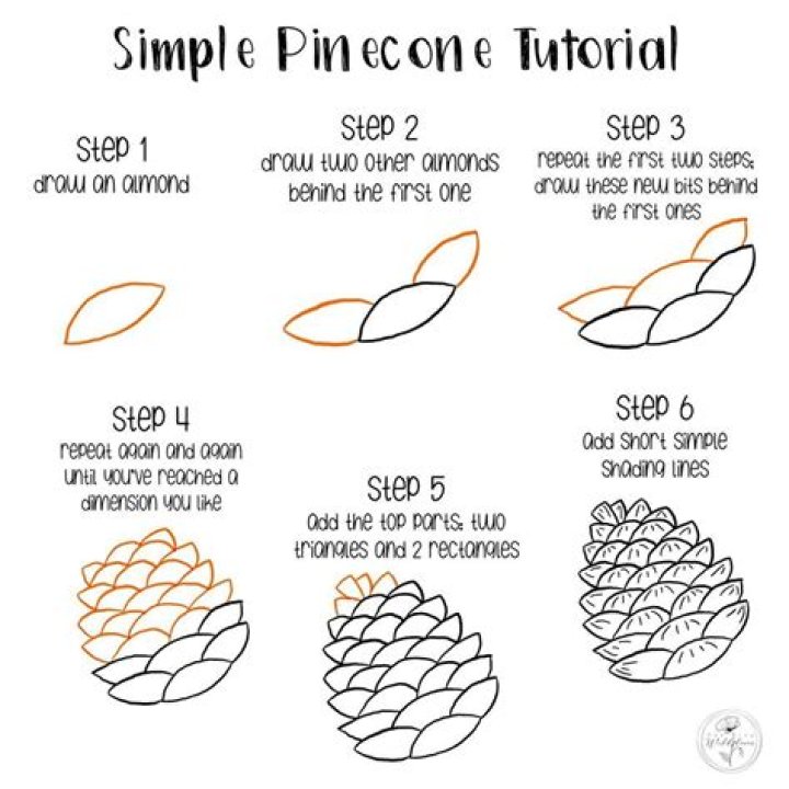 how to draw a pinecone