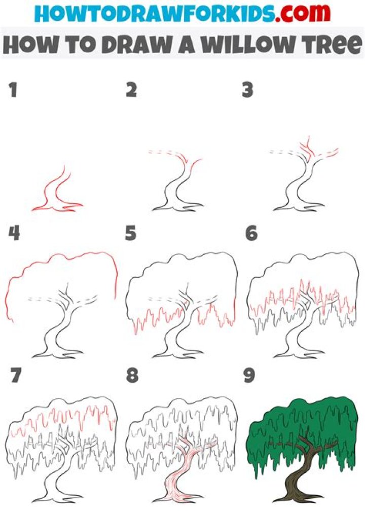 how to draw a willow tree