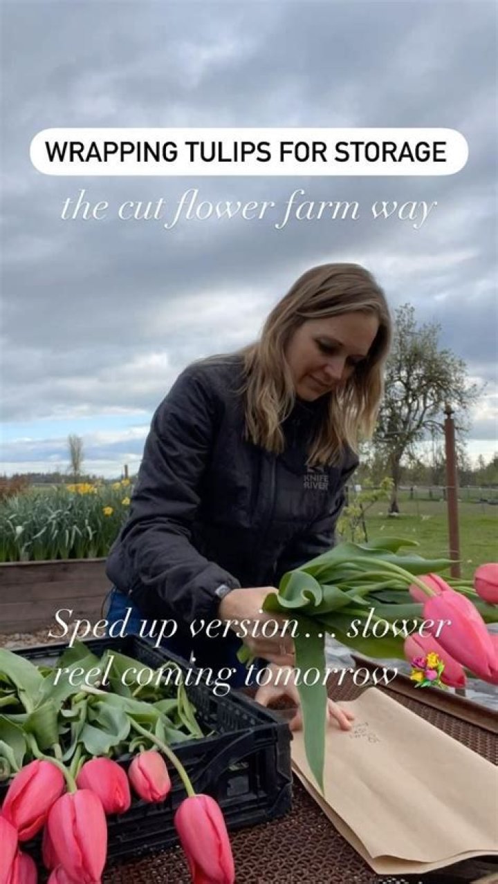how to dry tulips