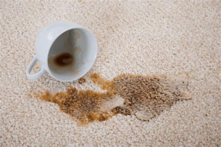 how to get coffee smell out of carpet