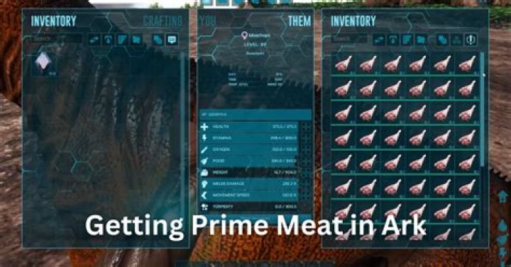 how to get prime meat ark