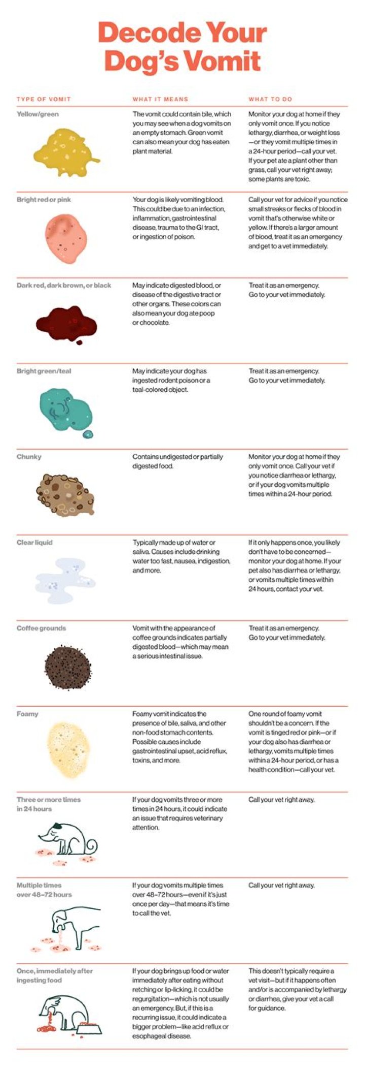 how to get rid of dog vomit fungus