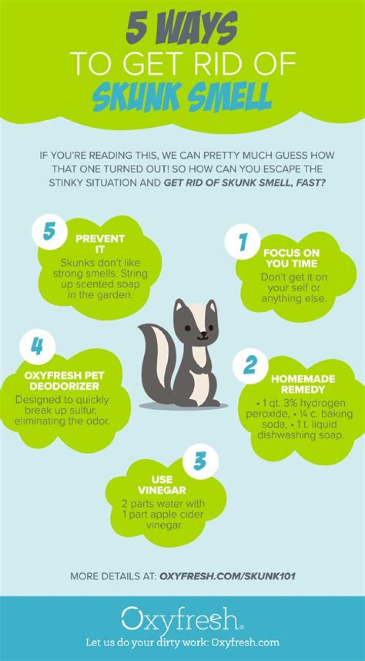 how to get skunk smell out of house
