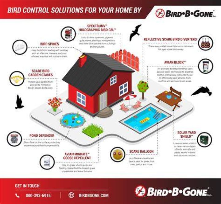 how to kill birds