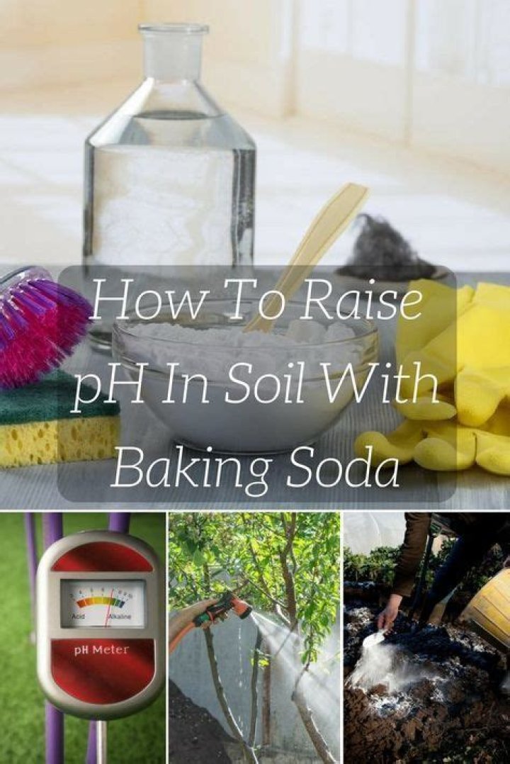 how to raise ph in soil with baking soda