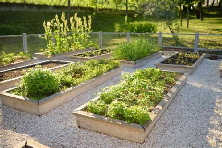 how wide should a garden bed be