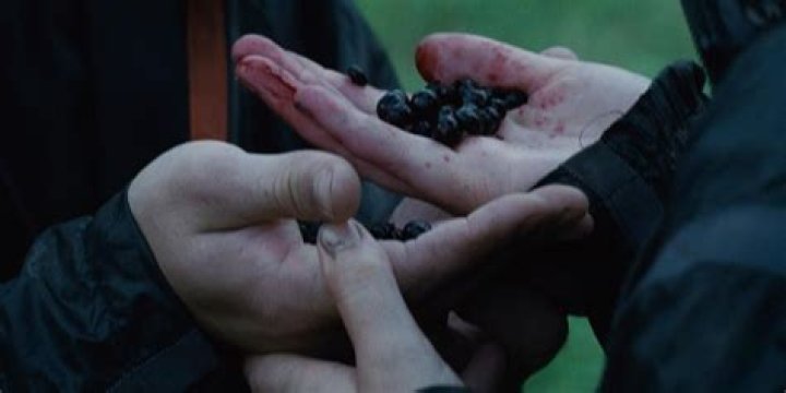 hunger games berries