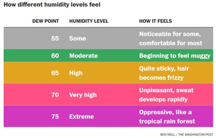 ideal humidity for humans
