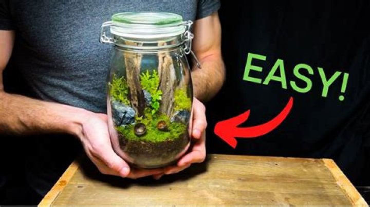 if a potted plant is covered with a glass jar