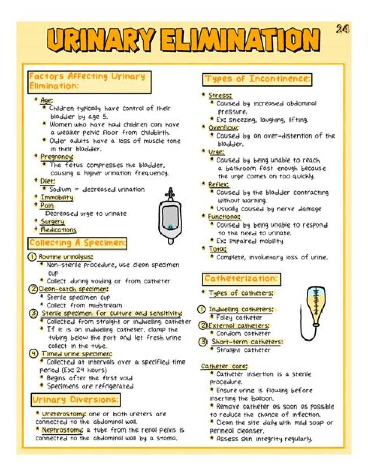 impaired urinary elimination meaning