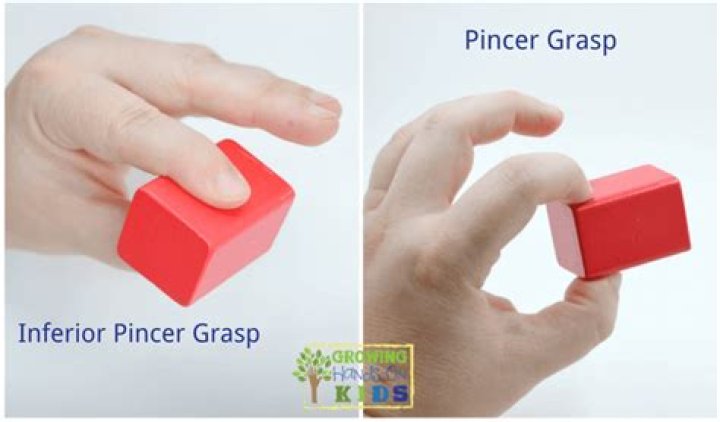 inferior pincer grasp