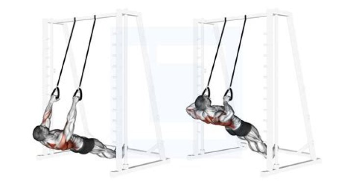 inverted row bar