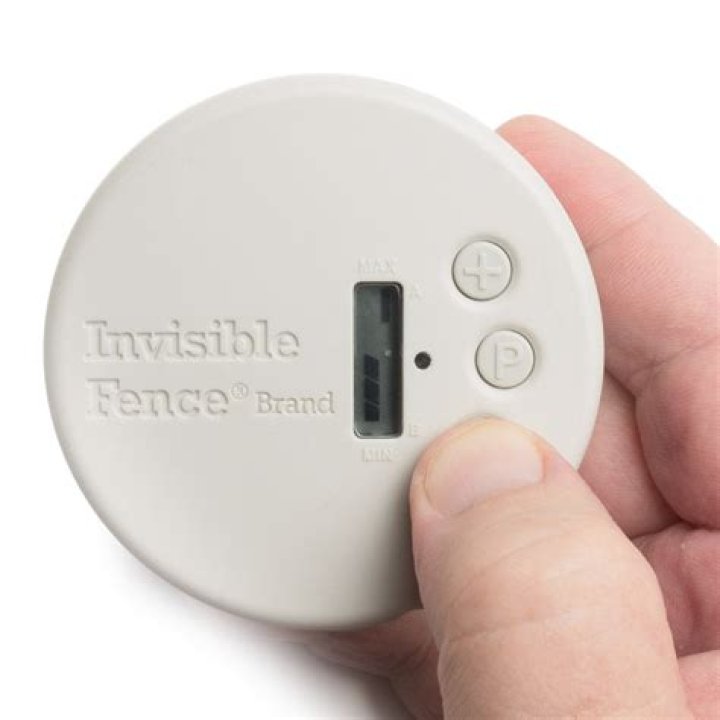 invisible fence indoor shield