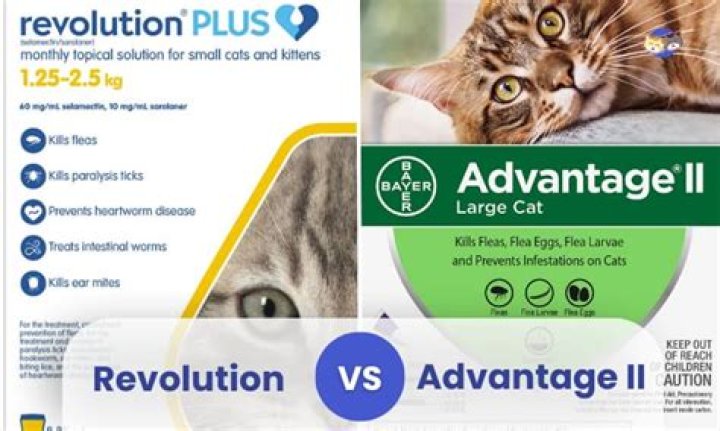 Is Advantage II or Frontline Plus better