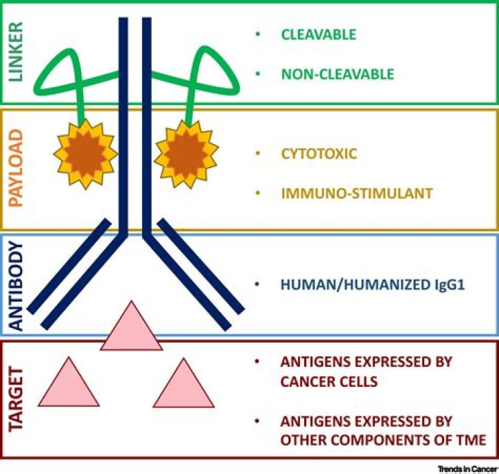 Is anakinra a monoclonal antibody