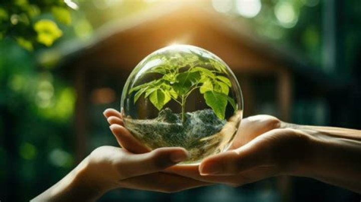 Is Arbonne environmentally friendly